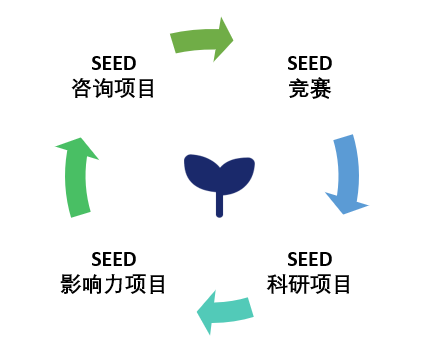 SEED New12