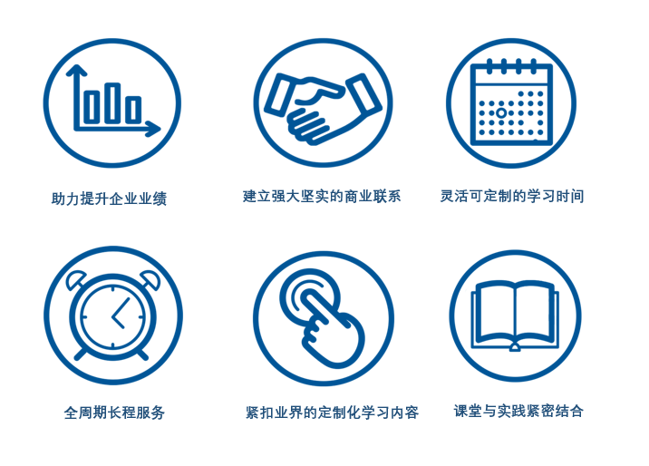 全球化项目