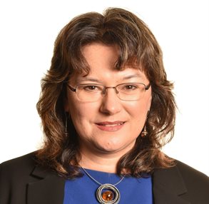 ICoEV10