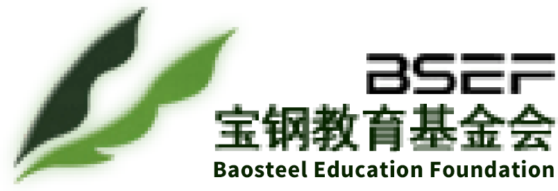 Bao Steel logo