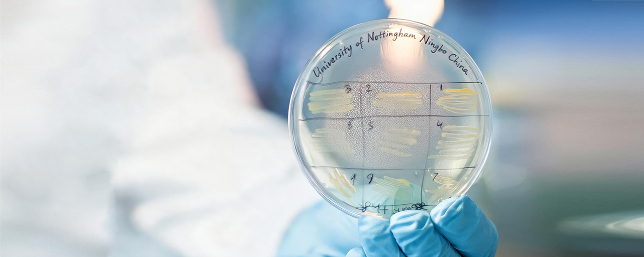 Health-and-life-sciences-banner