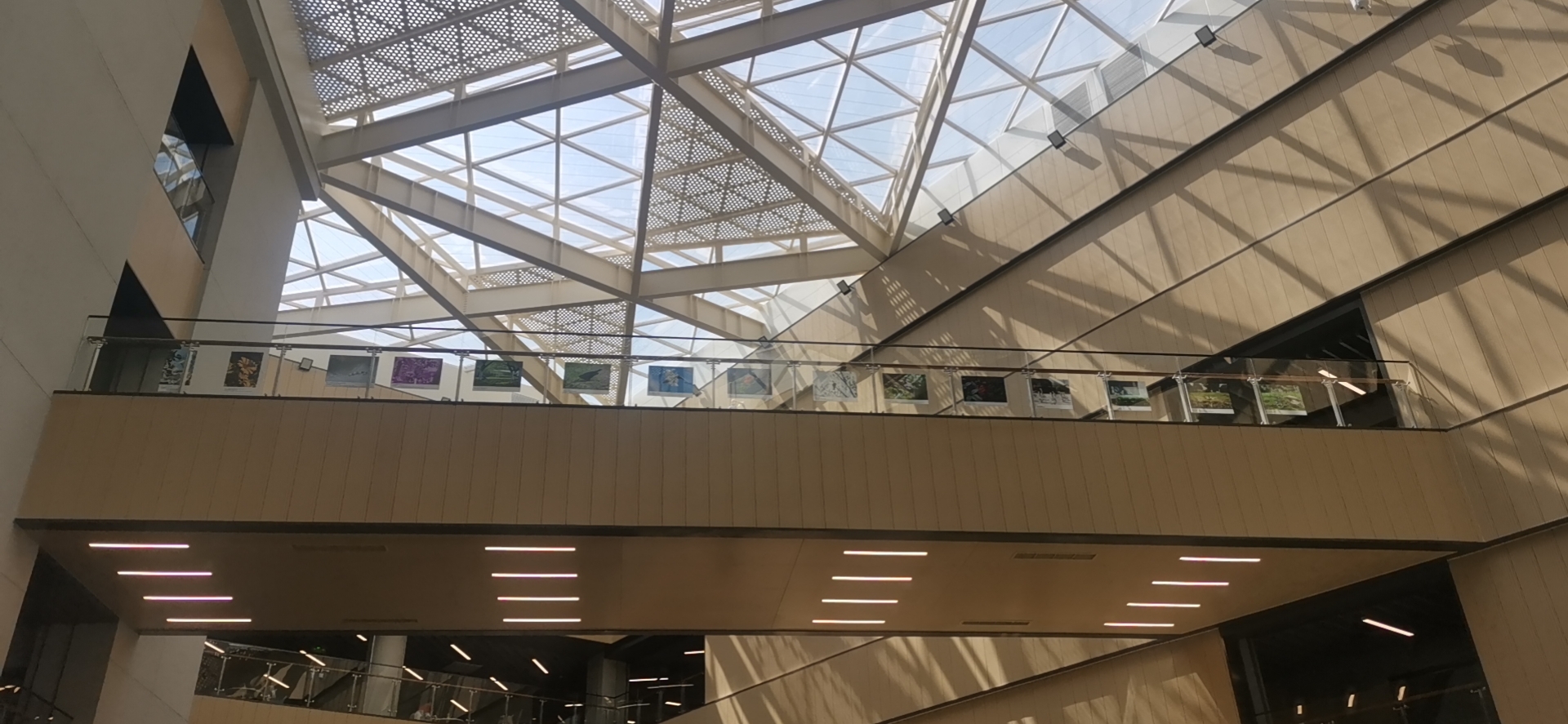 2021 GF phto competition venue2