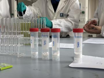 News thumbnail image