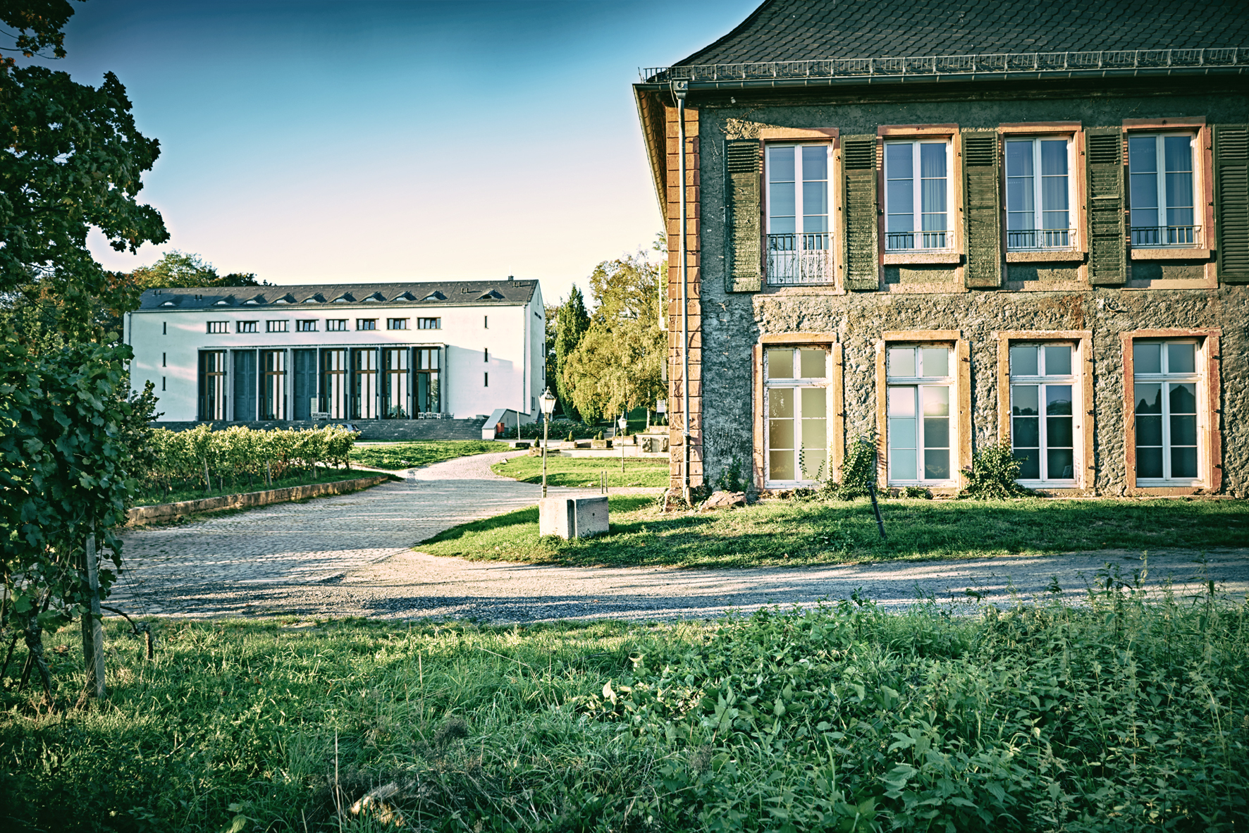 Partner school image