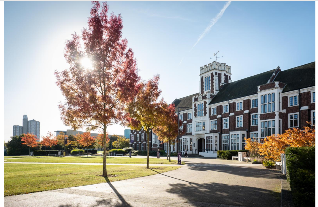 Partner school image
