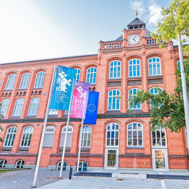 Partner school image