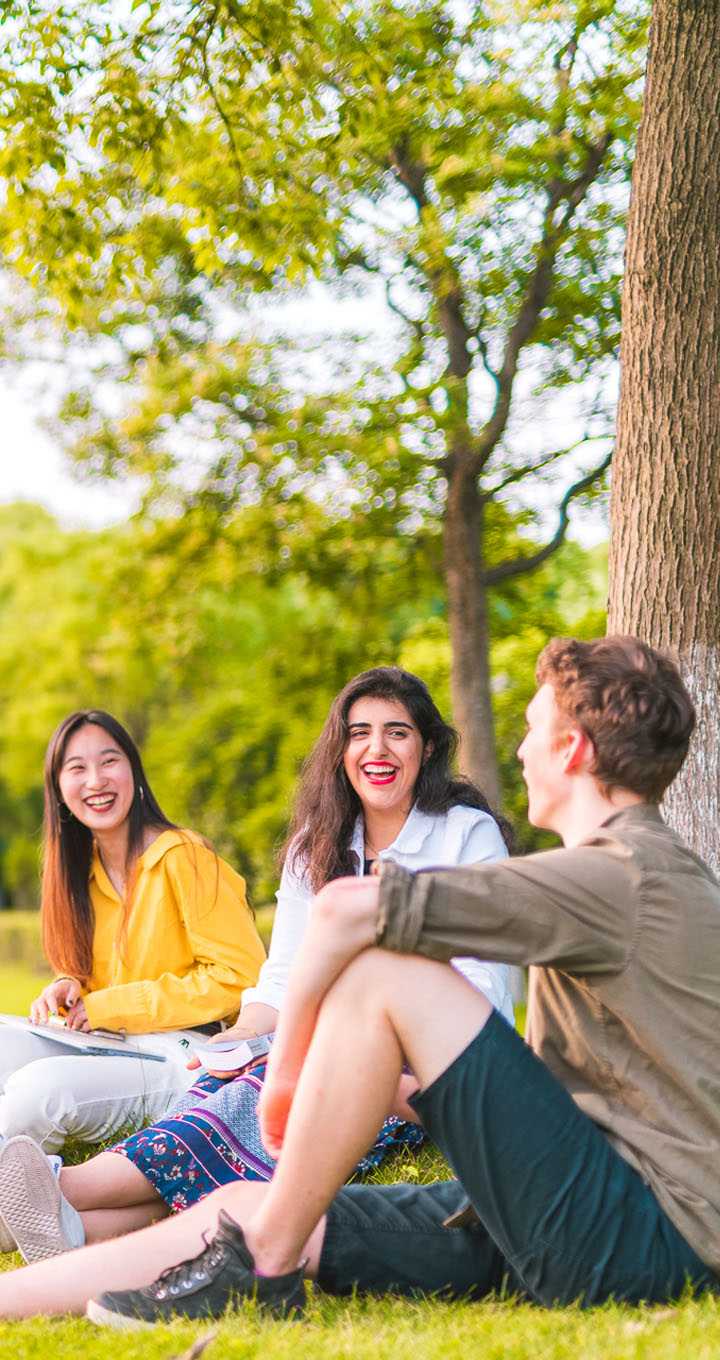 251124-new-master-programme-homepage-mob