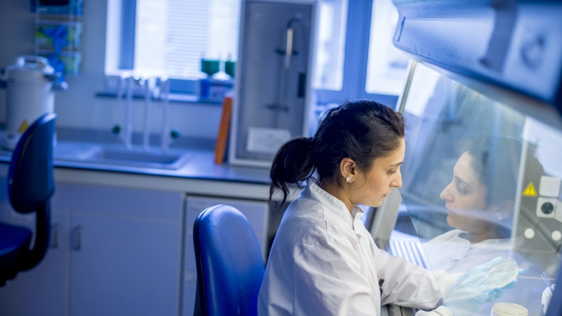 Study-Banner-4-Desktop-1920x1080