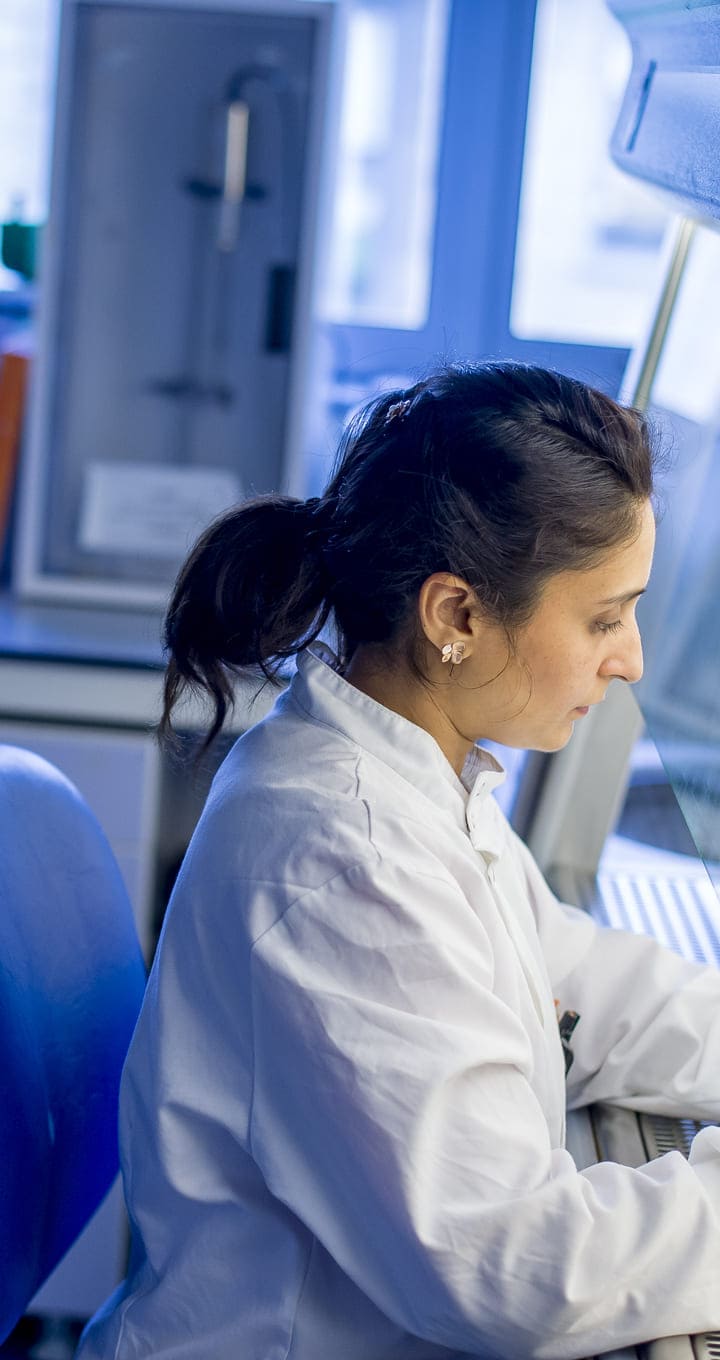 Study-Banner-4-Mobile-720x1360