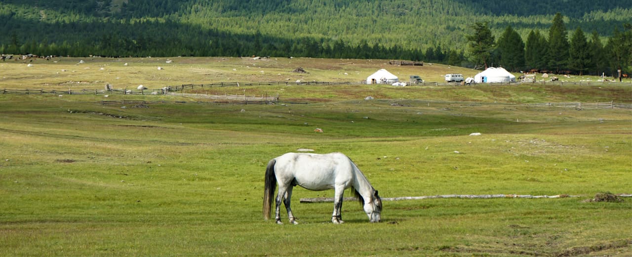Thumbnail image of Mongolia