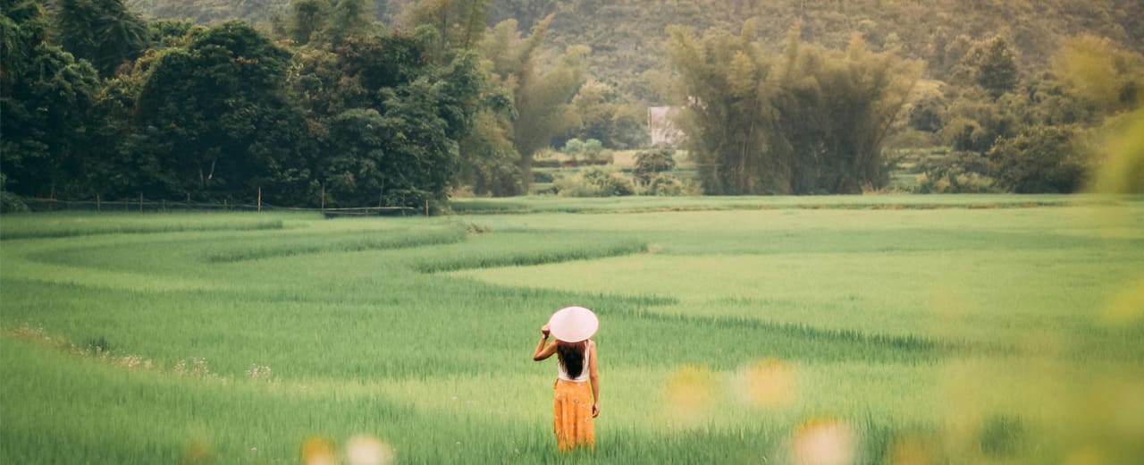 Thumbnail image of Vietnam