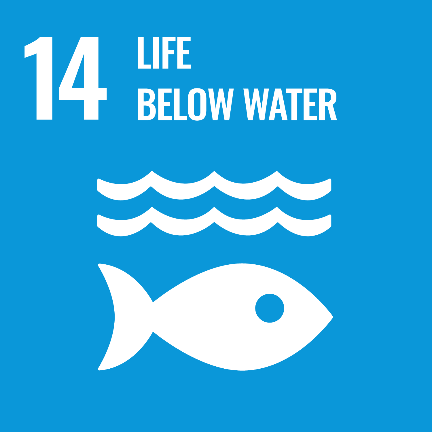 Sustainable Development Goals 14