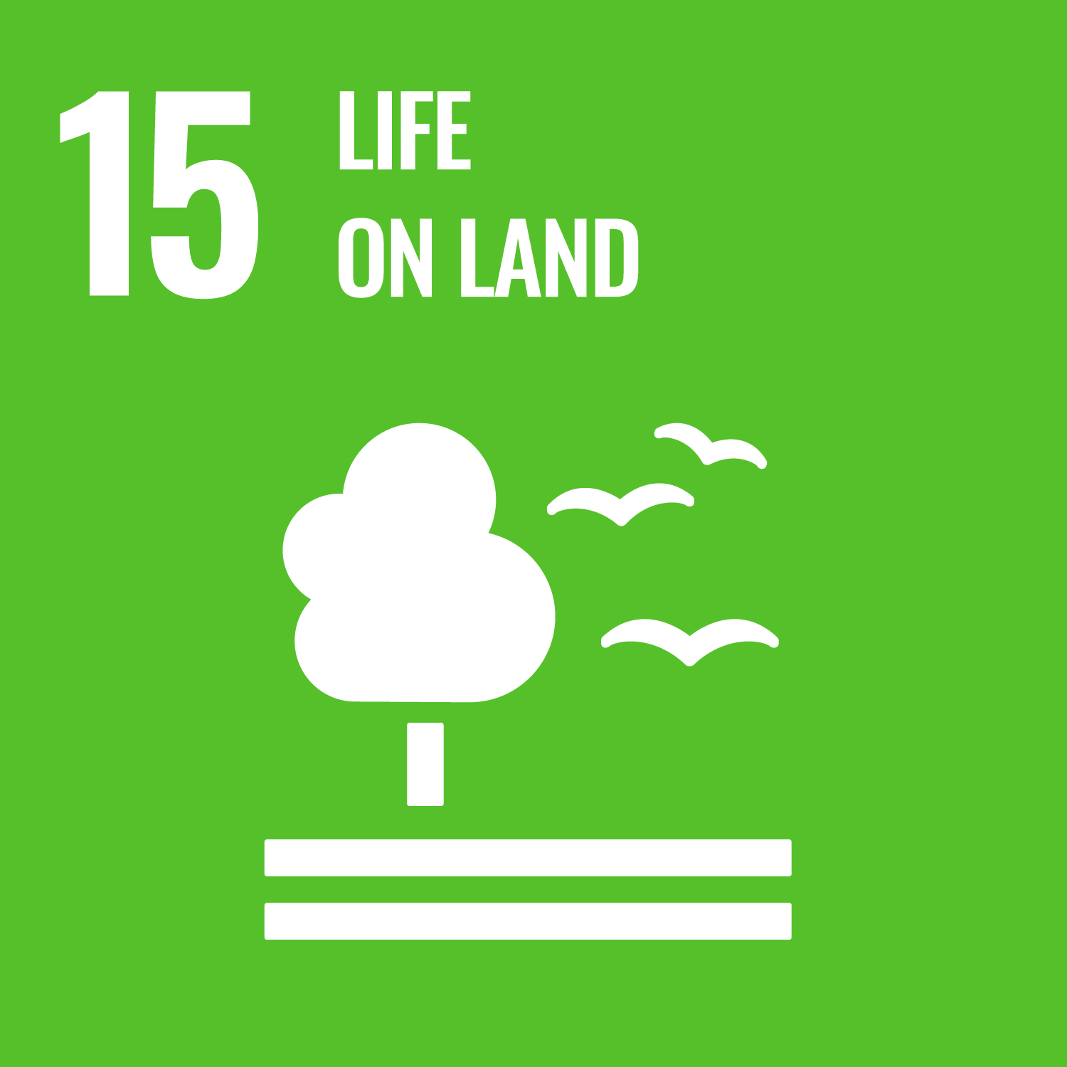 Sustainable Development Goals 15