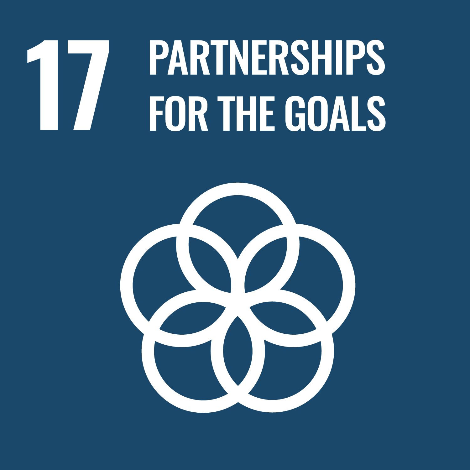 Sustainable Development Goals 17